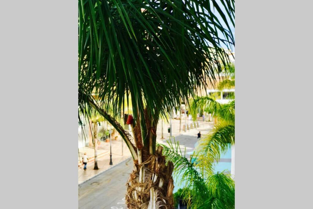 Begona City Center Studio 231 By Namaste Elite Torremolinos Esterno foto